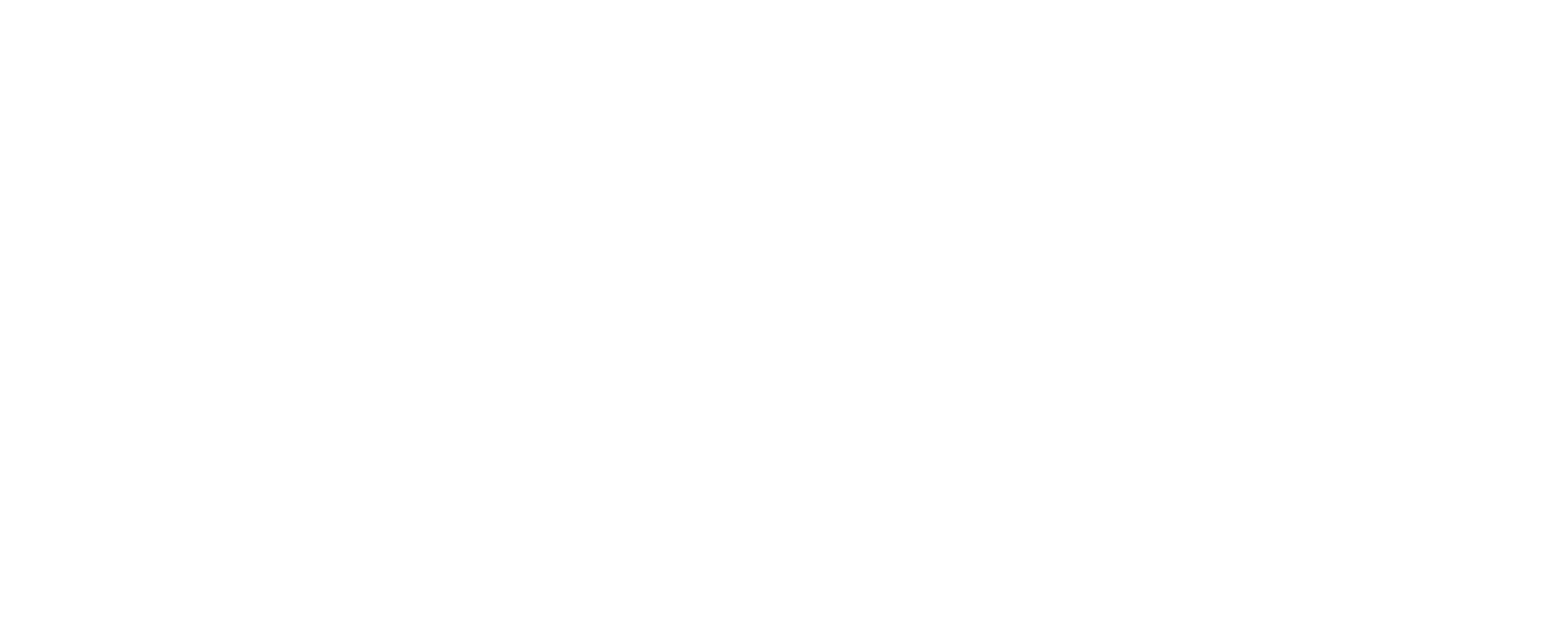 Interionic – Our name is the promise of standard and quality.